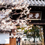歴史情緒の漂う街を歩こう！栃木県足利市で観光とグルメを満喫