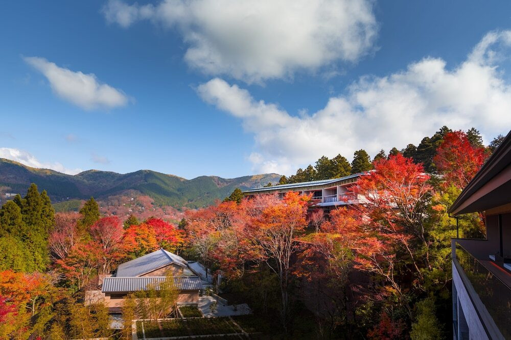 マウンテン ビュー