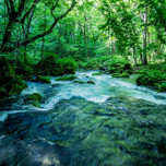 【青森】千年の秘湯「蔦温泉旅館」で彼とゆっくり過ごす癒しの旅