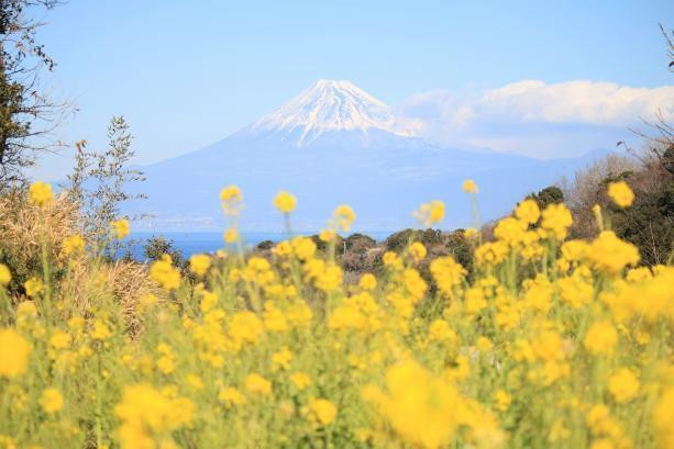 ricottacasaさんの写真 / 2