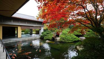 日本庭園② / 13