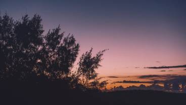 施設からの眺望 / 20