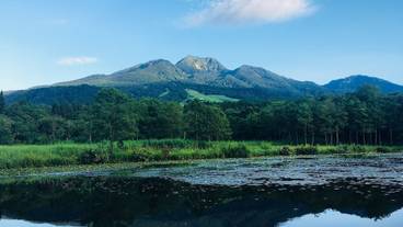 シティ ビュー / 7