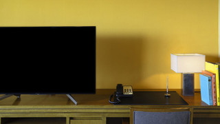 ルイガンズ　ツインルーム　禁煙(6-7F) 33m2