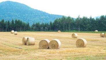 部屋からの景観 / 22