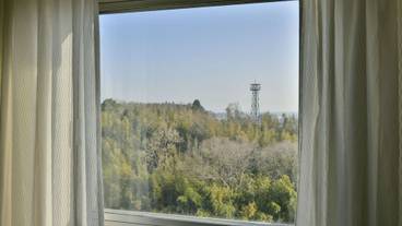 施設からの眺望 / 39