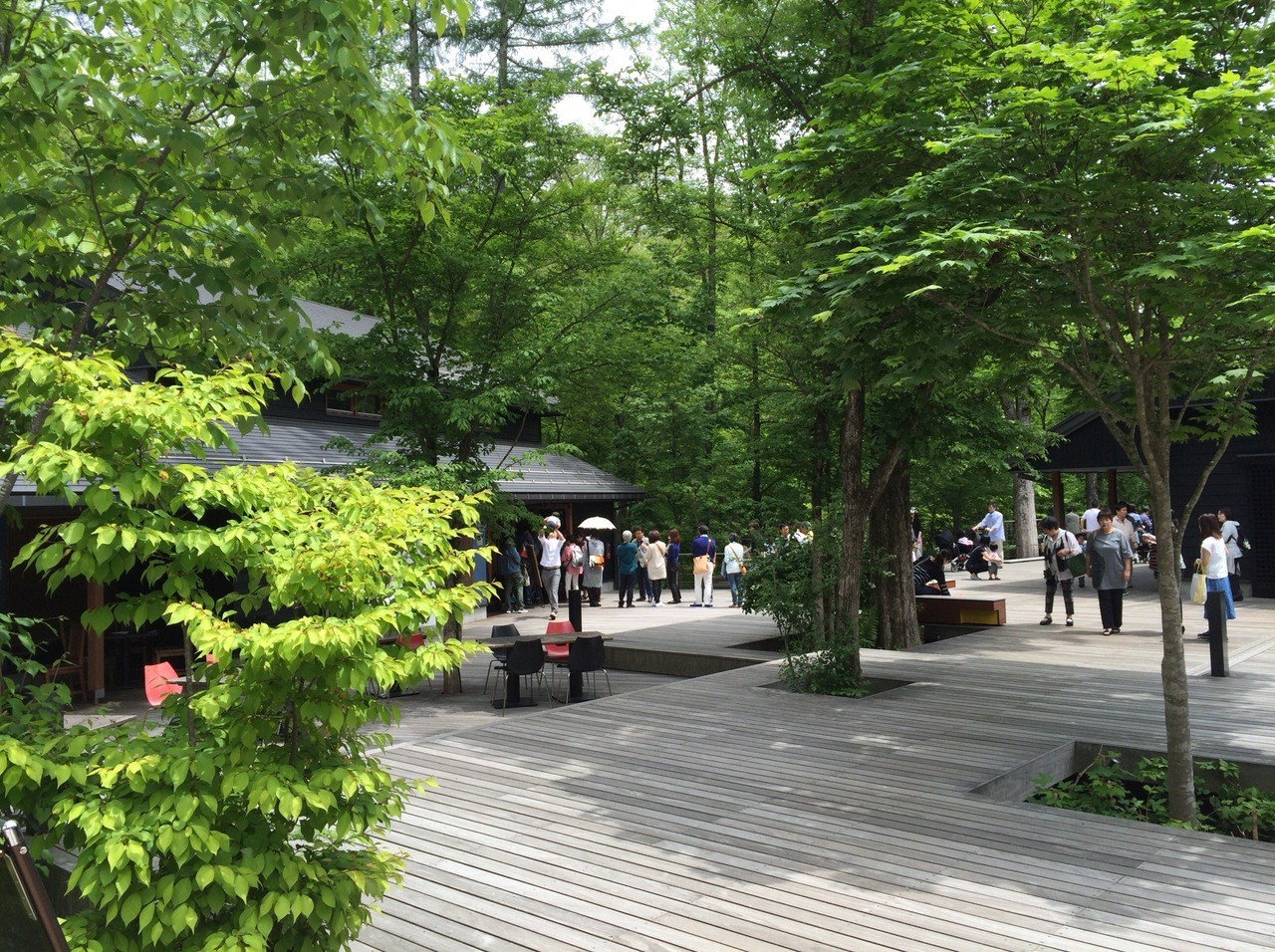 魅力その4.森林浴をしながらの休憩817687