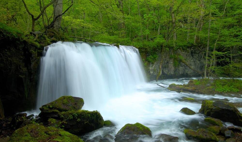 奥入瀬渓流の滝 / 3