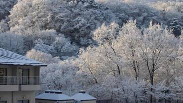 施設からの眺望 / 16