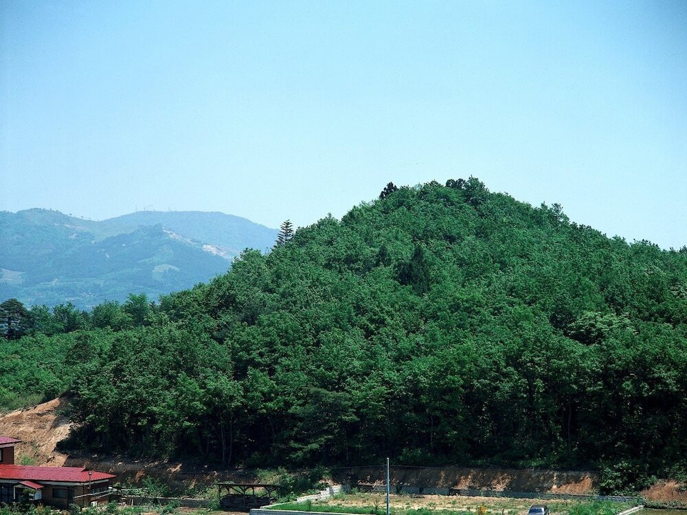 施設からの眺望