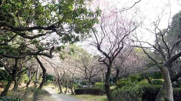 施設の敷地 / 13