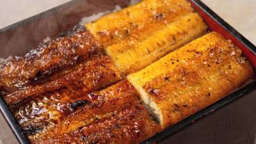 食事・飲み物 / 23