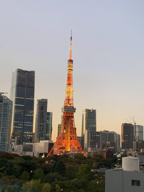 東京タワービューのプランがあります