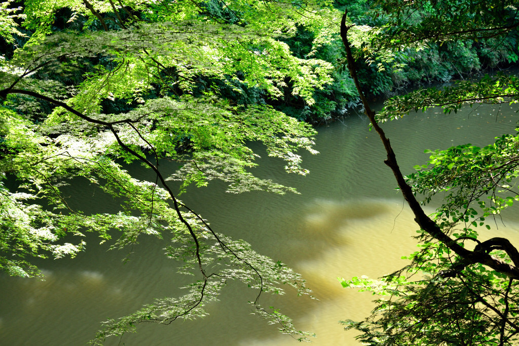 自然溢れる甲信越地方で、のんびり2人旅3528484