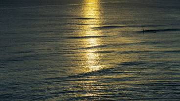 施設からの眺望 / 39