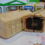 明美（アケミ）