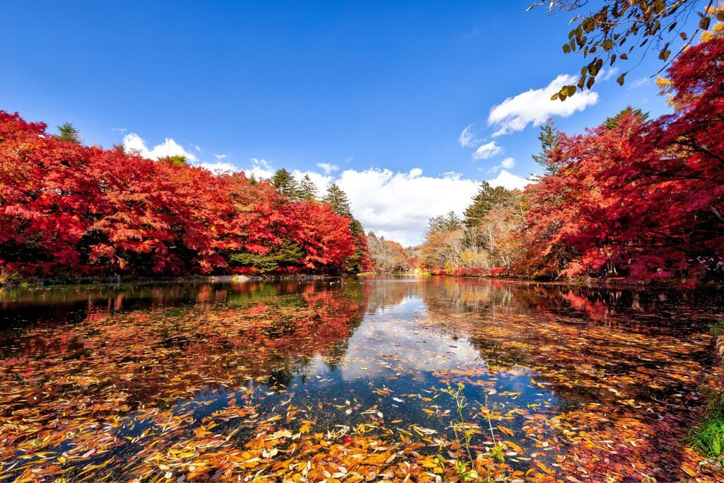 軽井沢の森の中の石の教会