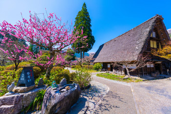 Gassho village of Gero onsen