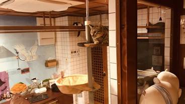 部屋からの景観 / 14