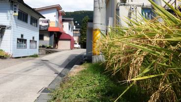 マウンテン ビュー / 21