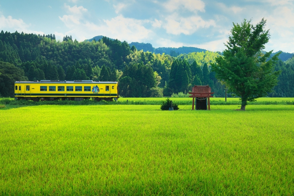 自然溢れるのどかな風景771238