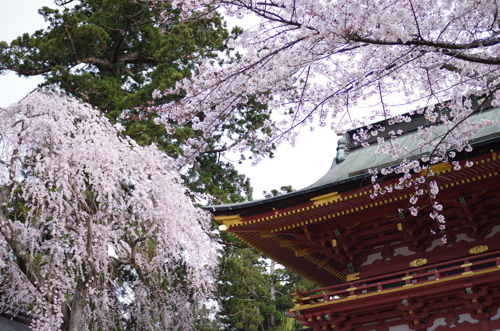 9.志波彦神社・鹽竈神社1559297