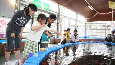 子供用の遊び場 - 屋内 / 27