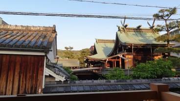 施設からの眺望 / 12