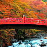 のんびりと秋を楽しもう♪栃木の紅葉が美しいホテル10選