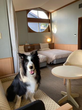 「ホテル アナガ」 その他 227371500 