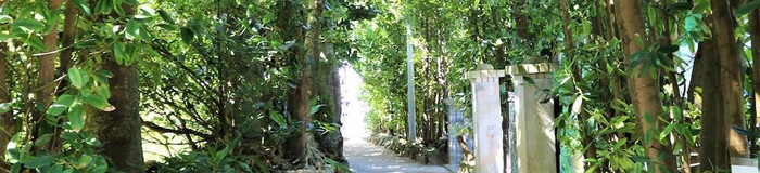 静かな沖縄旅へ。癒しに満ちた「備瀬のフクギ並木周辺」のホテル5選