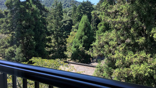 杜を眺める和室 禁煙（バス無トイレ付10畳）