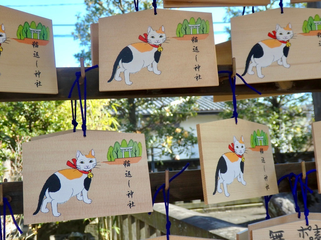 迷子ネコが戻る？「猫返し神社」4090746