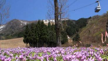 施設の敷地 / 23