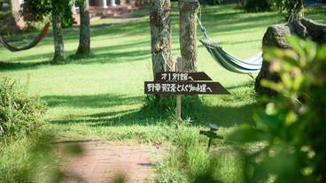 施設からの眺望 / 16