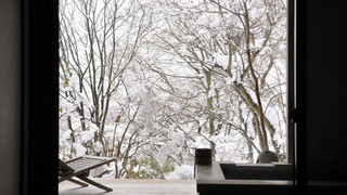 ジュニアスイート