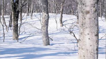 施設の敷地 / 17