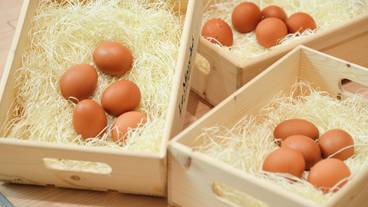 朝食ビュッフェ / 6