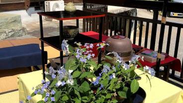 屋外バンケット スペース / 13