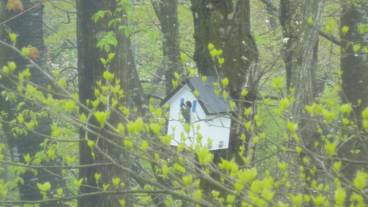 部屋からの景観 / 5