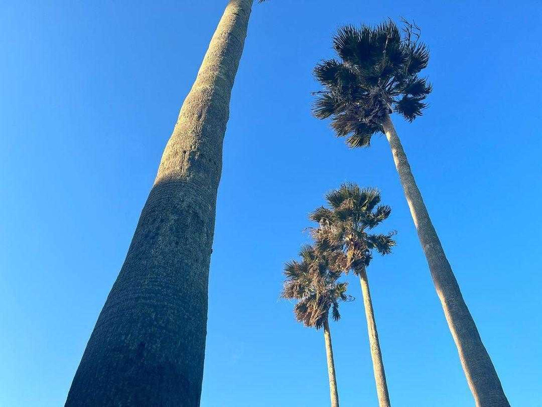 seto__1022さんの写真 / 1