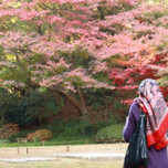 【東京・千葉】イスラム教徒の方をおもてなし♪ムスリムフレンドリー・ハラール対応があるホテル9選