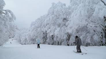 スノー スポーツとスキー / 15