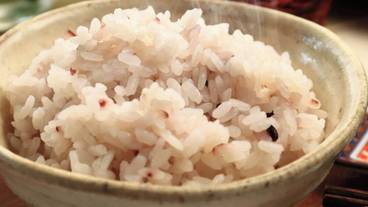 食事・飲み物 / 25