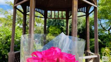 シティ ビュー / 4