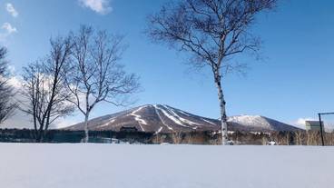 観光スポット / 22