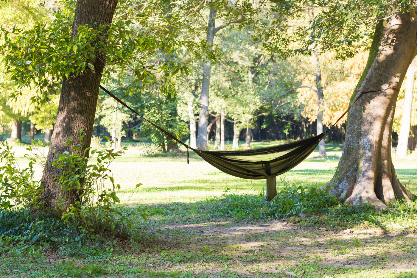 キャンプ場のハンモック