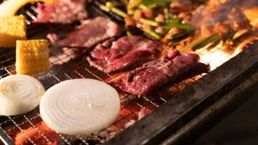 バーベキュー / ピクニック エリア / 9