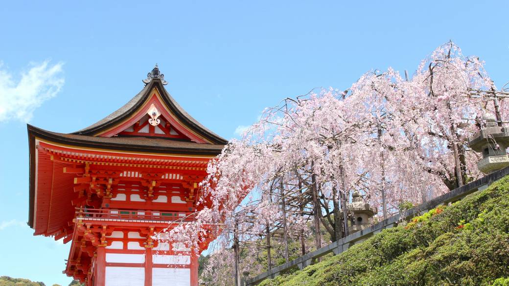 「清水寺」まで
ゆるりと散策 / 4