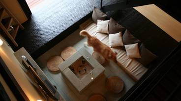 リビング エリア / 22